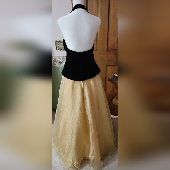 Vintage Ball Gown - Picture 3 of 9